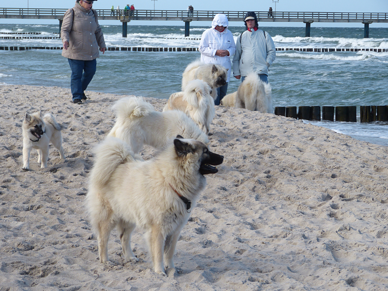 0084 und wir traten den Heimweg an.JPG
